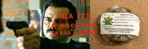 прущие грибы Волосово