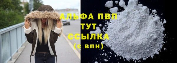 прущие грибы Волосово