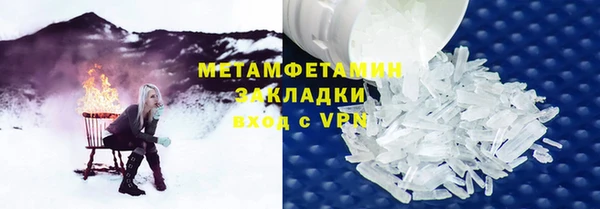 прущие грибы Волосово