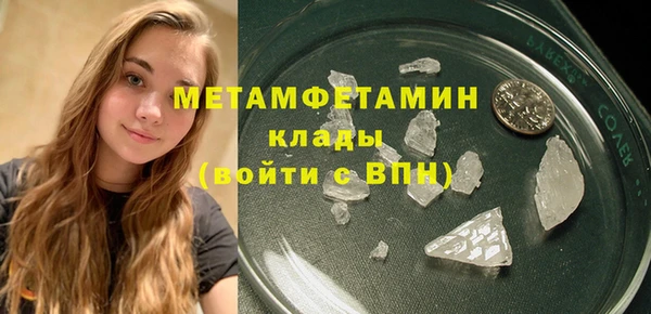 прущие грибы Волосово