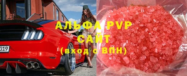 прущие грибы Волосово