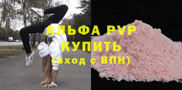 стаф Володарск