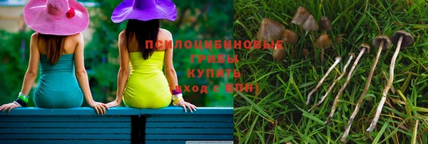 прущие грибы Волосово
