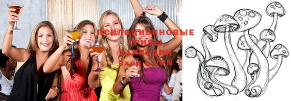 стаф Володарск