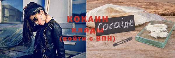 прущие грибы Волосово