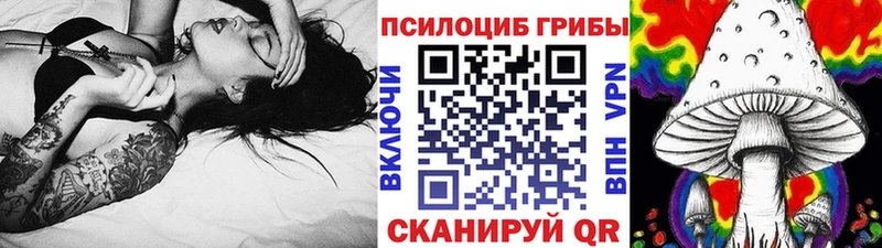 mega ССЫЛКА  купить закладку  Лиски  Галлюциногенные грибы GOLDEN TEACHER 